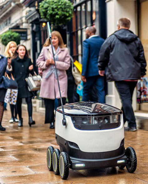 Delivery robot